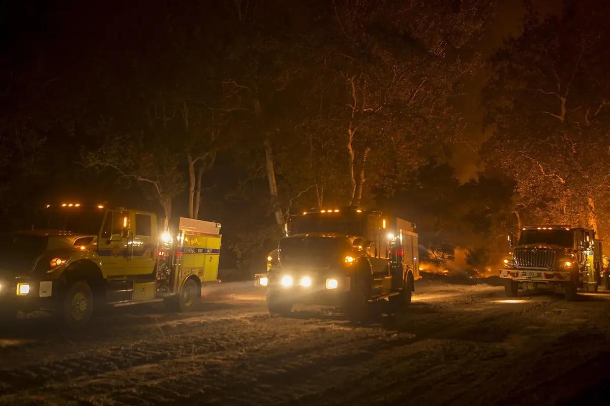 Fire engines with lights on, parked along a road at night
