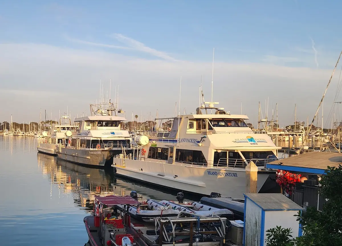 Boats tied up along a harbor dock on a calm morning